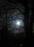 moon.jpg