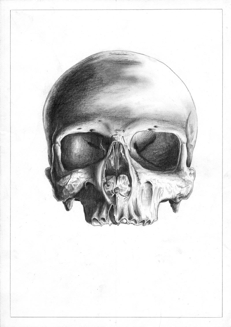 Skull, 1983 –  feuilleton 
