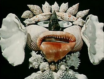 svankmajer.jpg