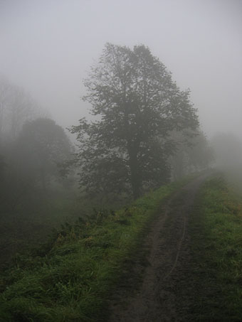 mist1.jpg