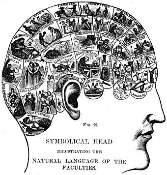 phrenology.jpg