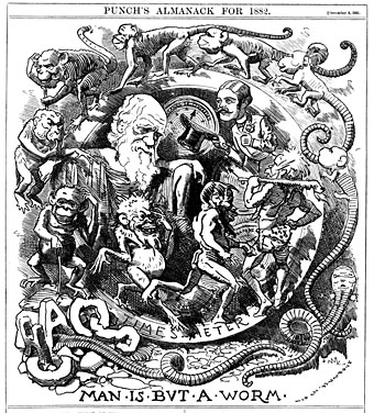 darwin.jpg darwin.jpg