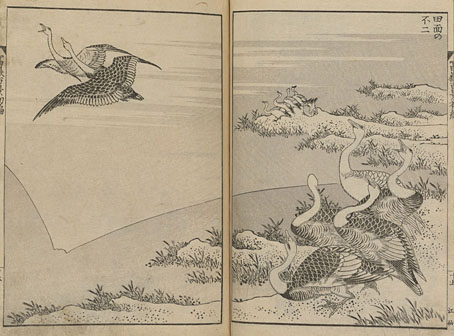 hokusai02.jpg