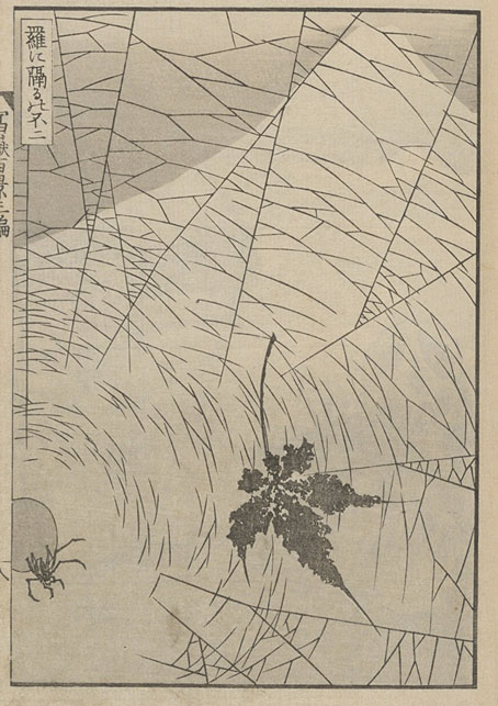 hokusai27.jpg