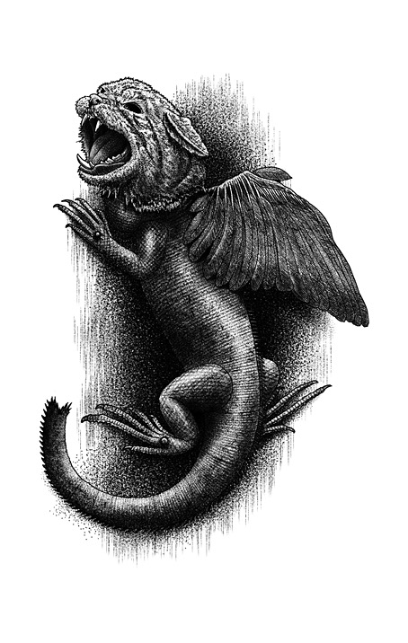brood03.jpg