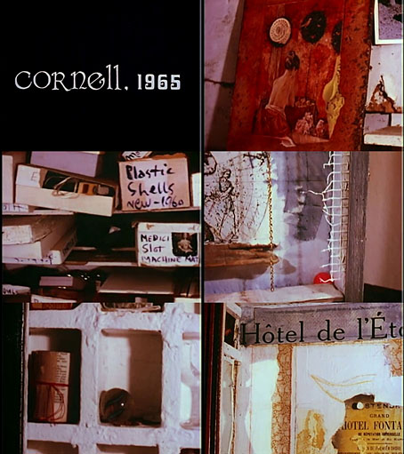 cornell1.jpg