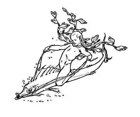 woodroffe02.jpg