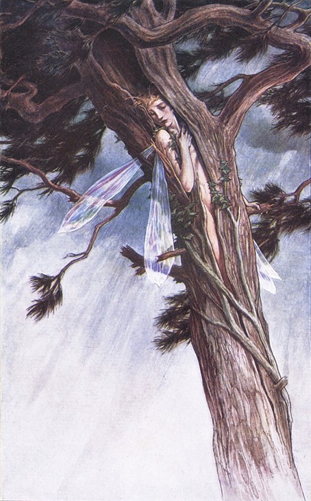woodroffe17.jpg