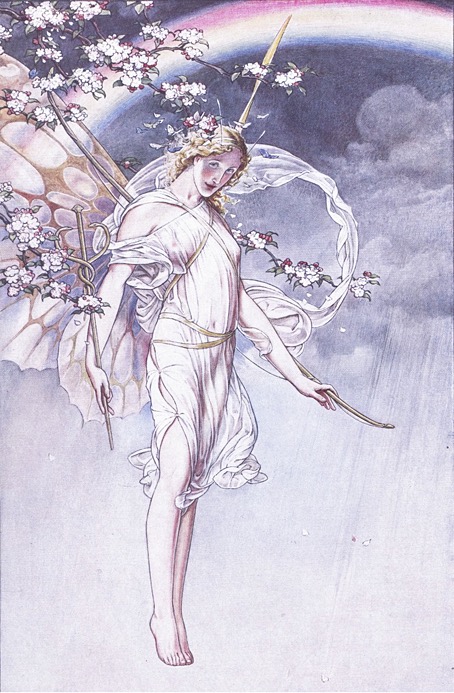 woodroffe19.jpg