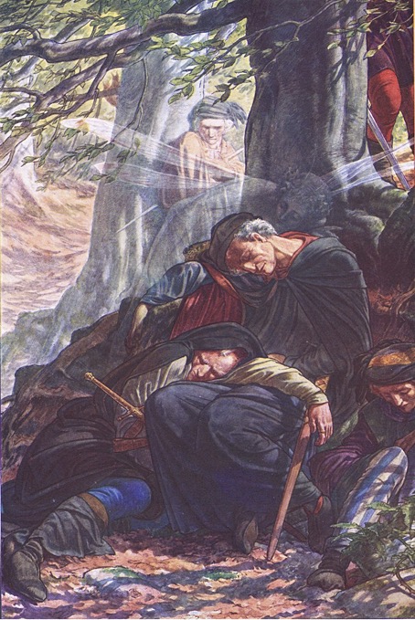 woodroffe21.jpg